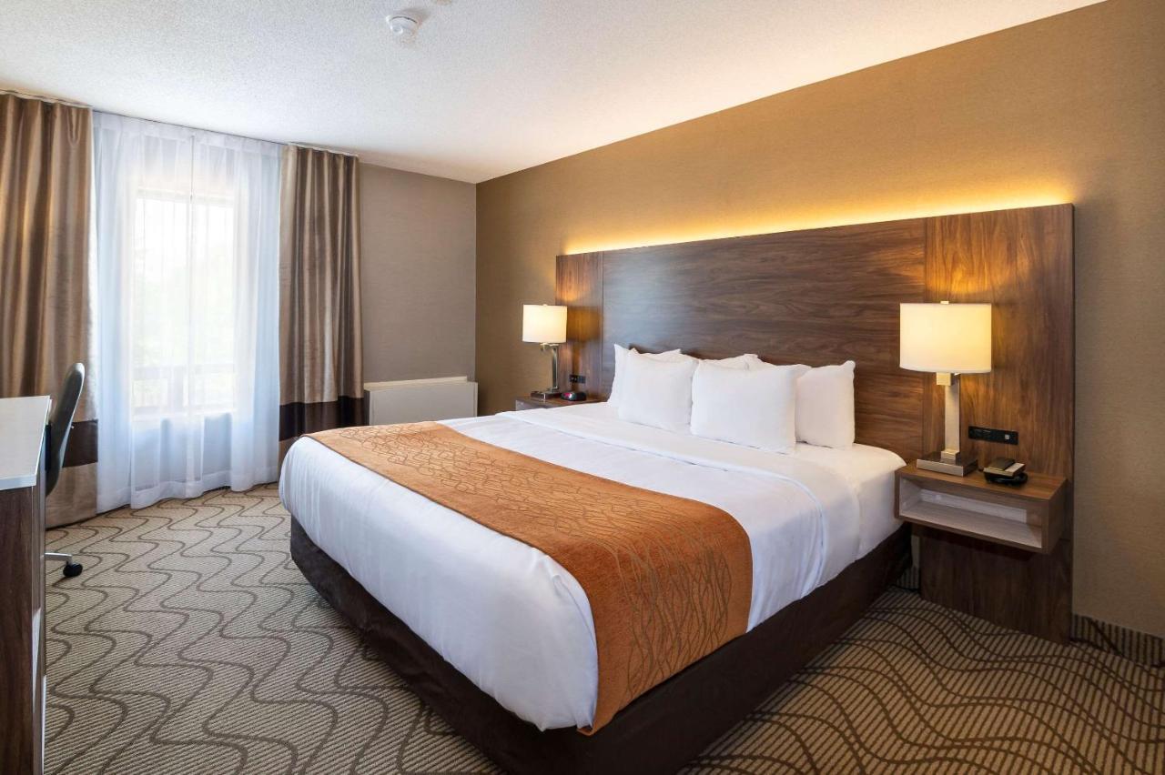 Comfort Inn Lakeshore North Bay Dış mekan fotoğraf
