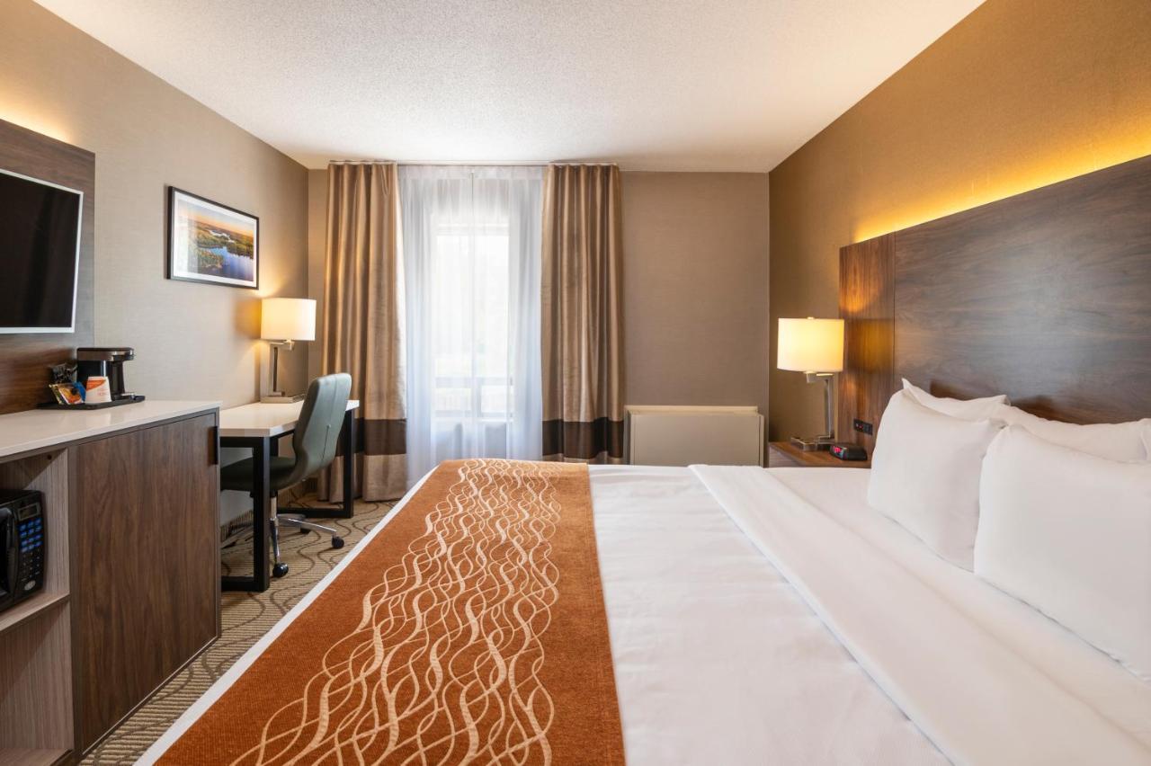 Comfort Inn Lakeshore North Bay Dış mekan fotoğraf
